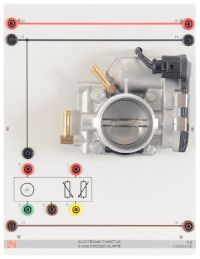 E-Gas Drosselklappe